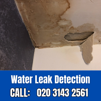 Expert Water Leak Detection Services in Kings Langley | Kings Langley Leak Detection
